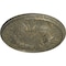 Ekena Millwork Wakefield Ceiling Medallion (Fits Canopies up to 3 5/8"), 11 3/4"OD x 1 1/4"P, Witch Hazel Crackle CM11WAWHC - alternate 2